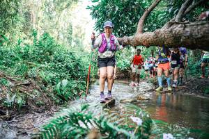 BIB: 
                            <button type="button" onclick="openModal(25516375)" class="btn btn-primary btn-sm float-right btn-popup" data-toggle="modal" data-target=".modal-high-quality">
                        <i class="fas fa-shopping-cart"></i> Add to Cart
                    </button>
                                            <button type="button" onclick="isThisMe(25516375, true)" class="btn btn-success btn-sm float-right btn-popup btn-isme hidden" data-toggle="tooltip" data-placement="bottom" title="นี่คือรูปของคุณใช่ไหม คลิกที่นี่เพื่อเอาเข้าอัลบั้ม">
                        <i class="fas fa-plus"></i> Add to album
                    </button>
                    <button type="button" onclick="isThisMe(25516375, false)" class="btn btn-warning btn-sm float-right btn-popup btn-isnotme hidden">
                        <i class="fas fa-ban"></i> Remove from album
                    </button>